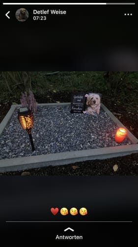 Customer photo review of Hunde Gedenktafel mit Foto & Spruch (UV- UND WETTERFEST)