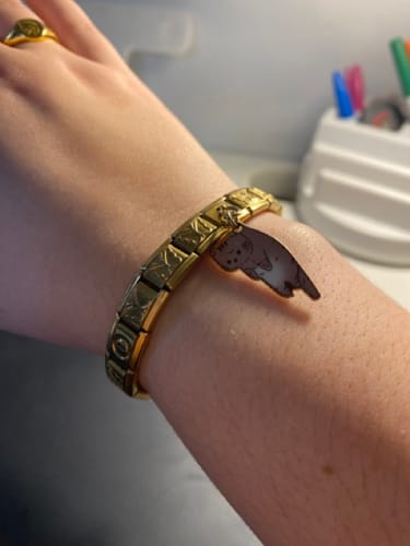 Customer photo review of Kitten