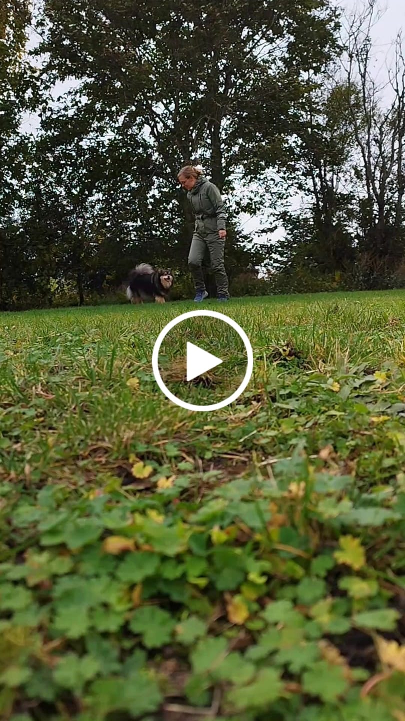 Customer video review of Jumpsuit 1.0 | Dame I Beetle | Kaos
