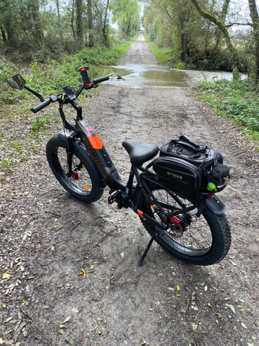 Customer photo review of Lankeleisi MG600 Plus 1000W Bafang Motor 26" Fat Bike All Terrain Electric Bike 48V 20Ah Samsung Battery