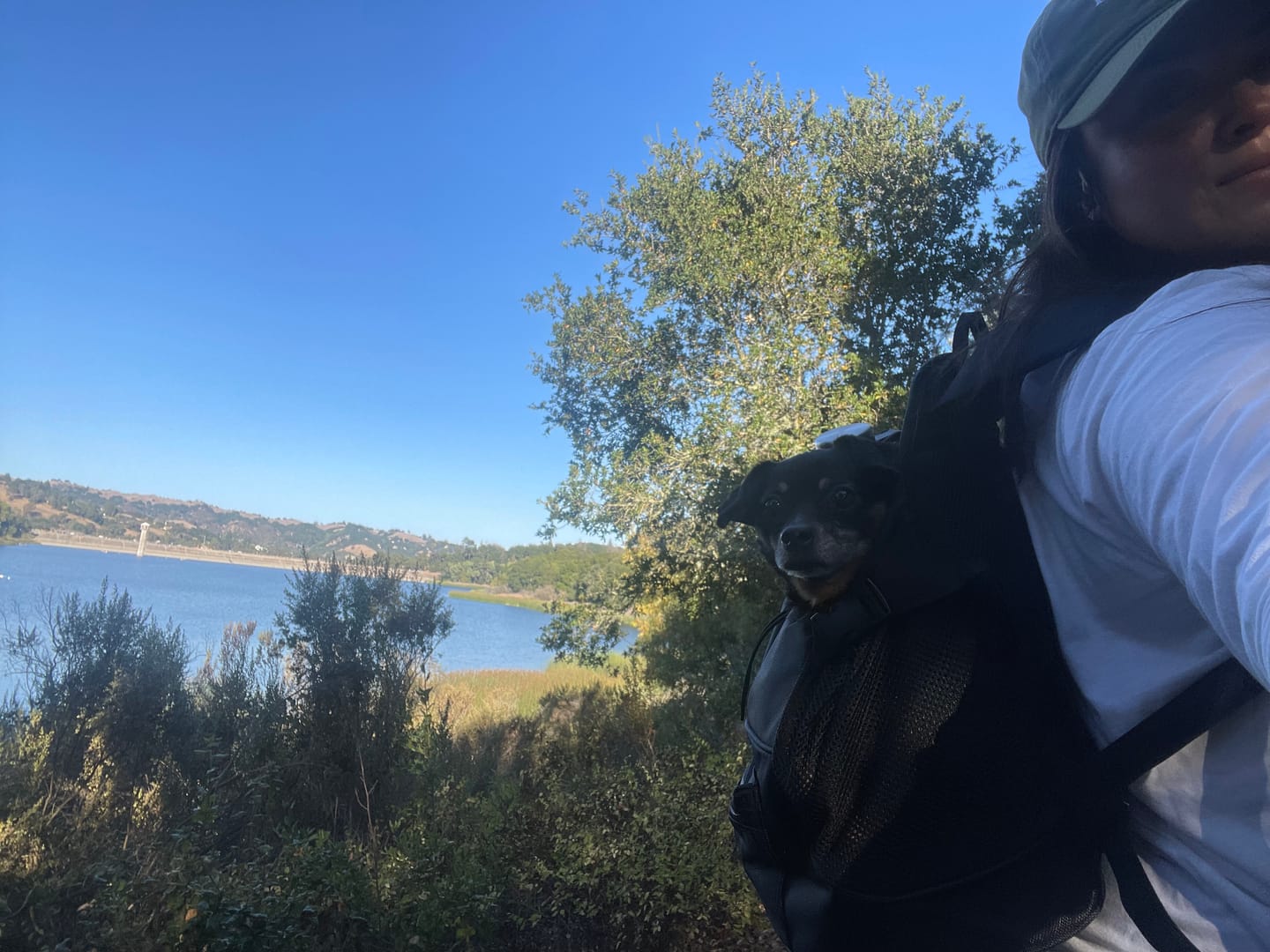 Customer photo review of Premium All-Black Pet Backpack