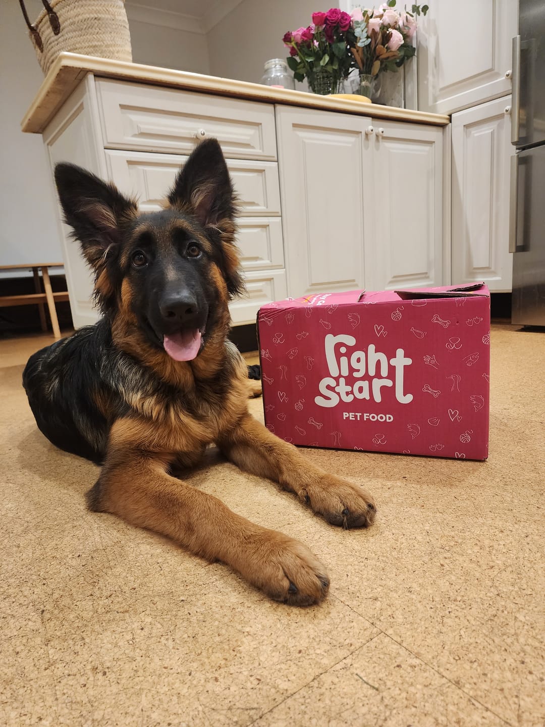 Customer photo review of Roo For Dogs: Raw Kangaroo Meat for Dogs