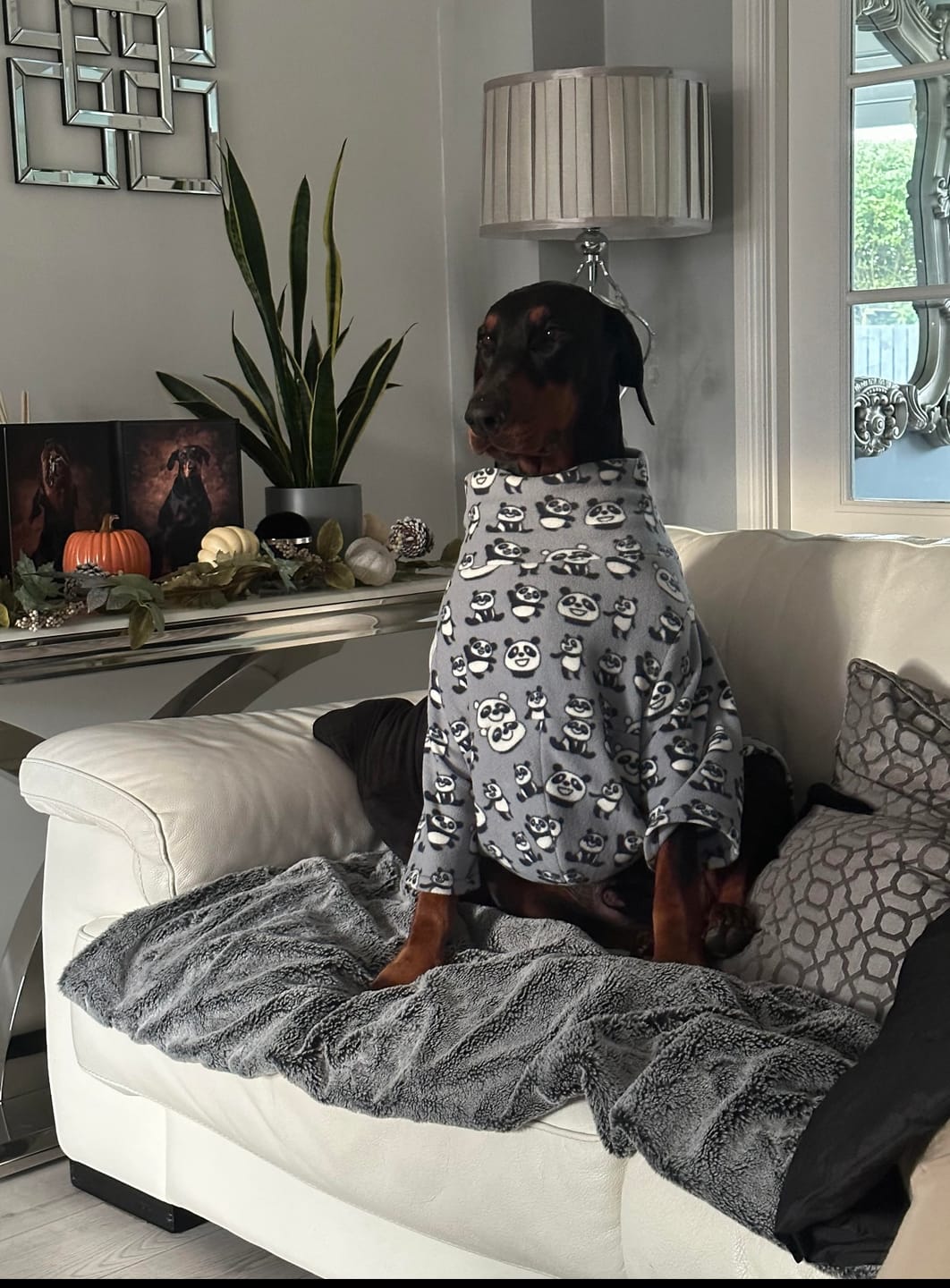 Customer photo review of Grey Panda Anti Pill Polar Fleece Fabric