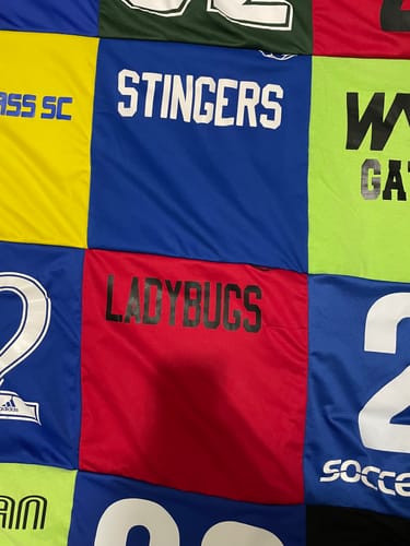 T-shirt quilt featuring ladybugs by Laura from KY