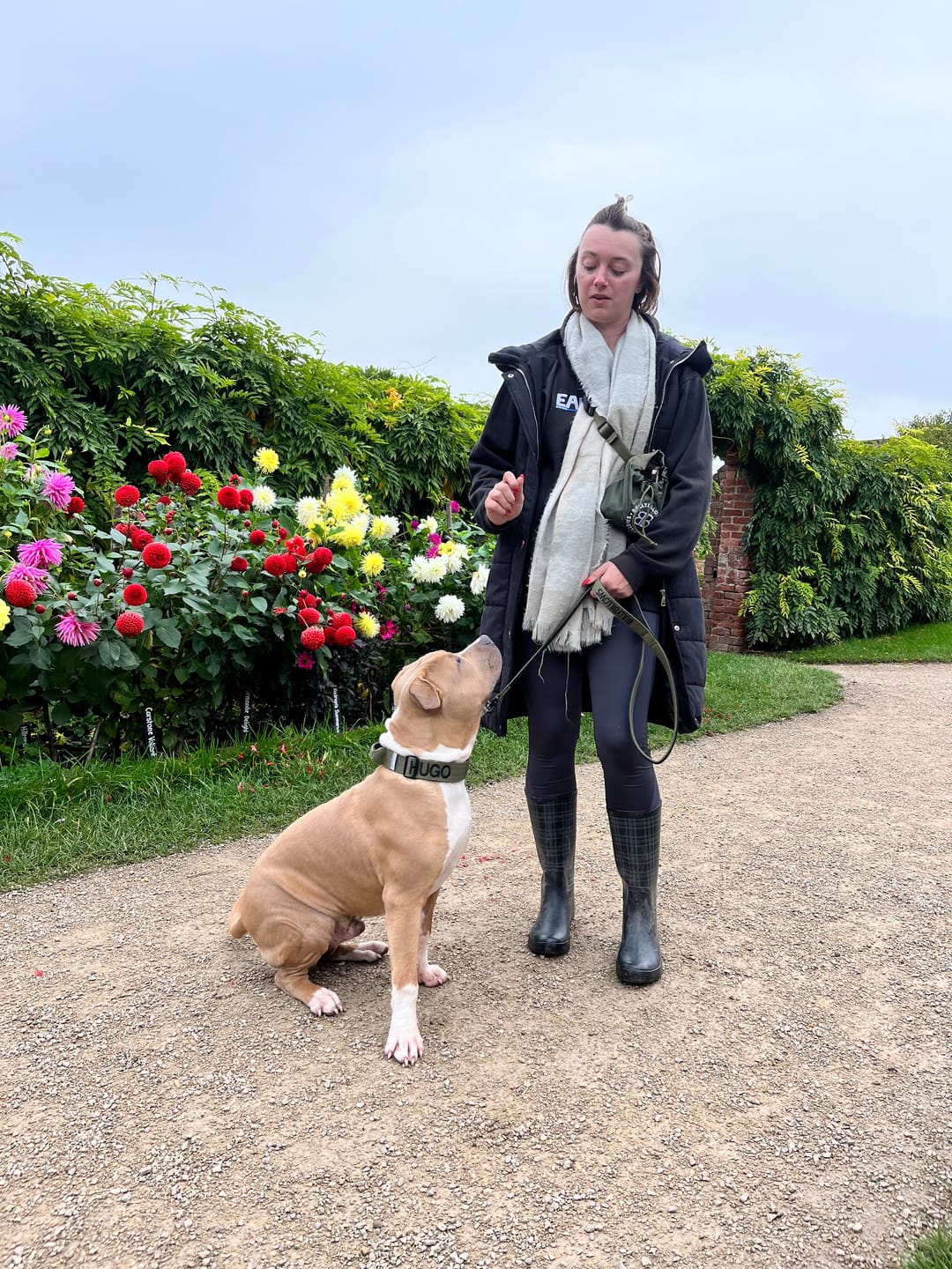 Customer photo review of 4cm Combat® Collar | With Handle & Rated Clip -  Khaki v2.0