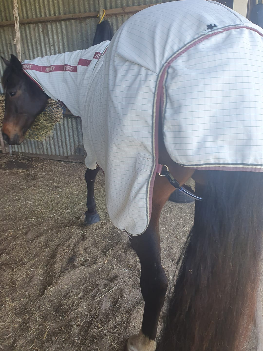 Customer photo review of LE Wipe-Clean Tailcord