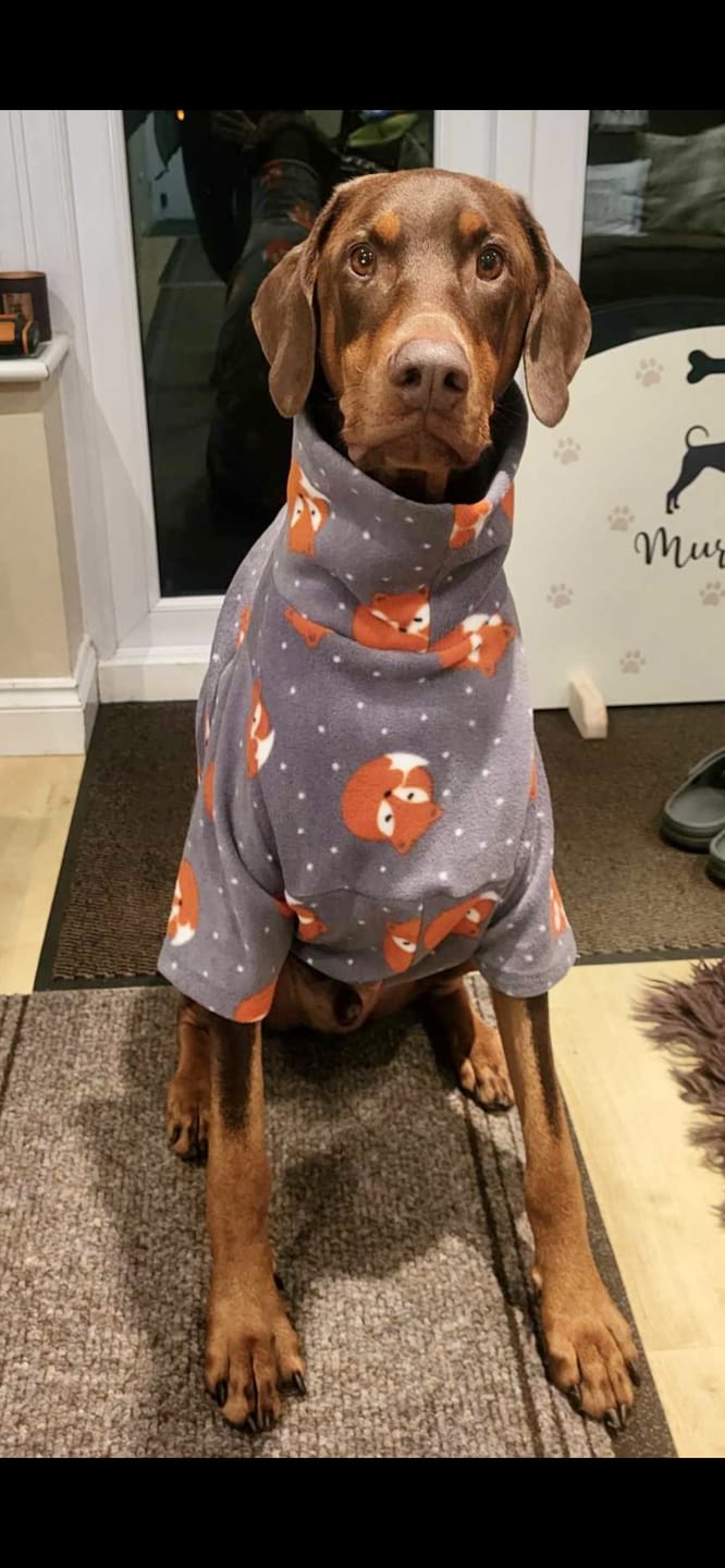 Customer photo review of Sleeping Foxes Anti Pill Polar Fleece Fabric