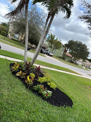 Customer photo review of Mulch