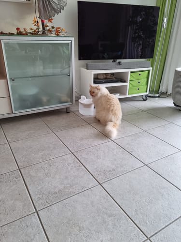 Customer photo review of Kabelloser Katzenbrunnen