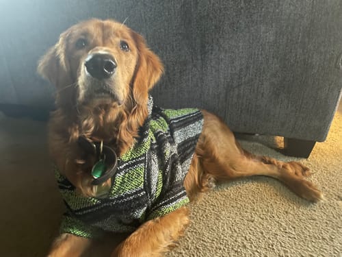 Customer photo review of Playa Poncho - Surprise Color