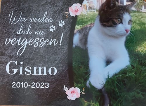 Customer photo review of Katzen Gedenktafel mit Foto & Spruch (UV- UND WETTERFEST)