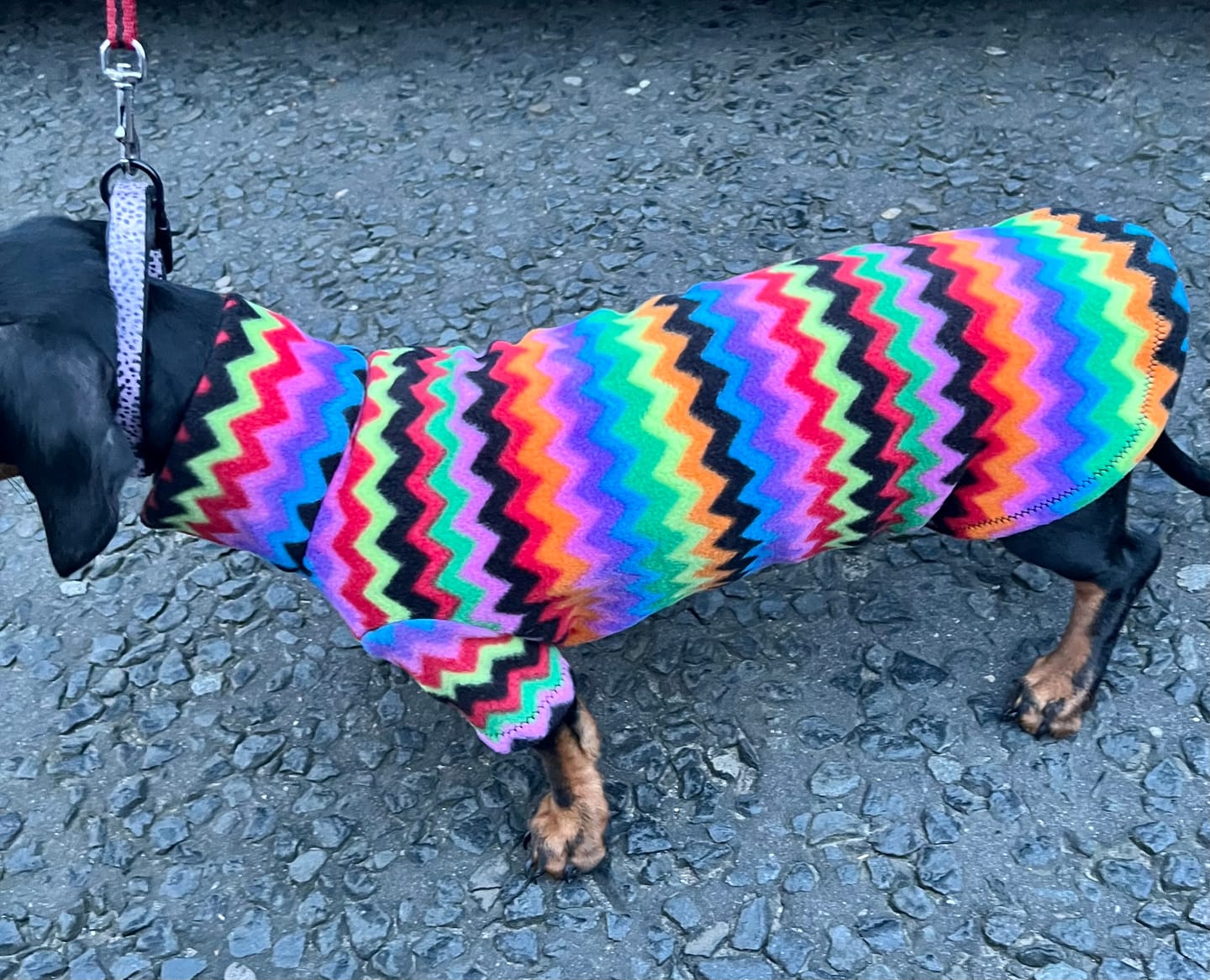 Customer photo review of Multicoloured Zig Zag Anti Pill Polar Fleece