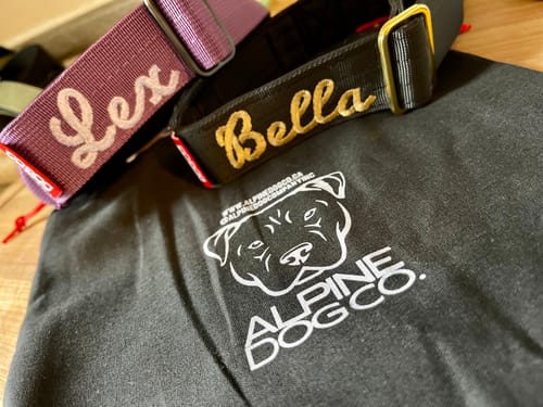 Customer photo review of 1.5" Tacti Dog Collar Slim Luxe - Gold - Noir