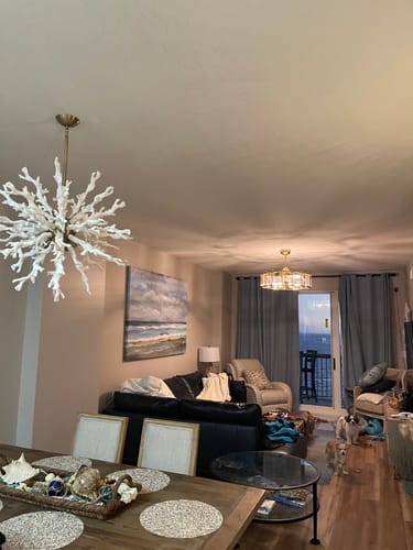Customer photo review of Seashore