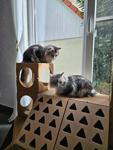 Customer photo review of The Royal Castle