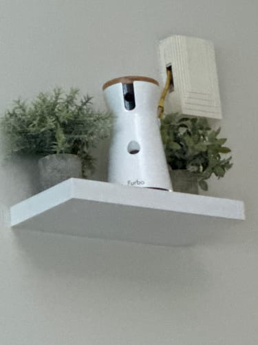 Customer photo review of Furbo 360° Dog Camera: Rotating 360° View Wide-Angle Pet Camera with Treat Tossing