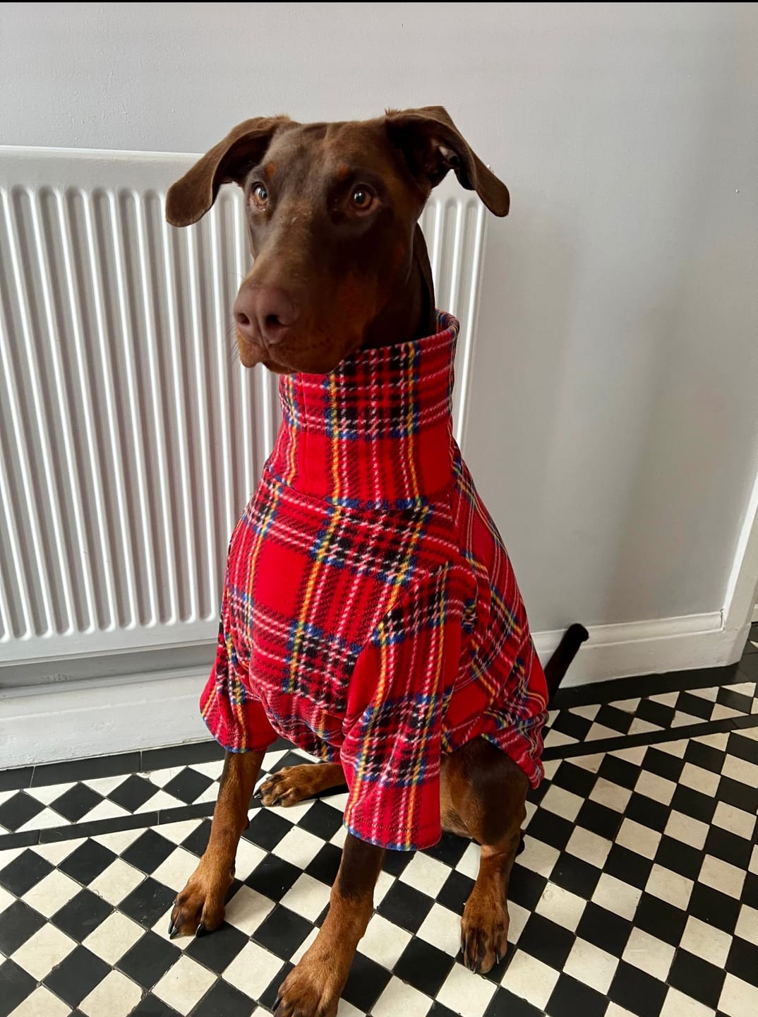 Customer photo review of Red Checkered Anti Pill Polar Fleece Fabric
