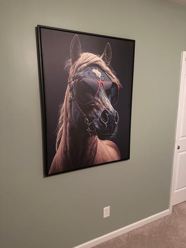 Customer photo review of Horse Wearing Glasses II