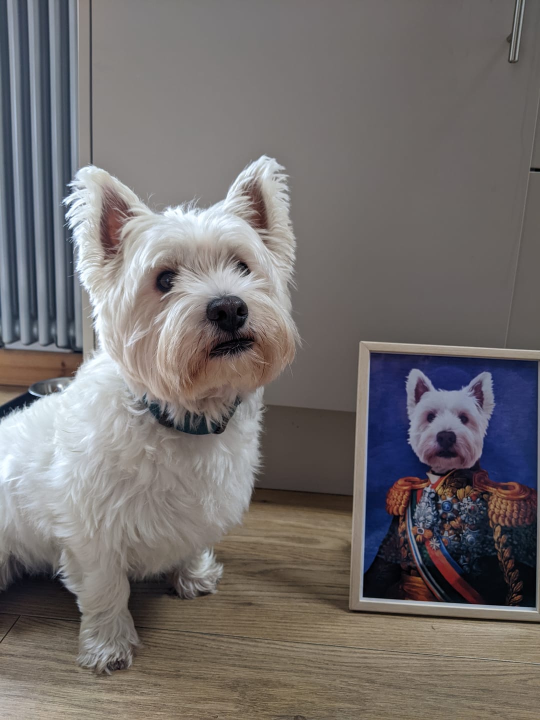 Customer photo review of The First Lieutenant: Custom Pet Portrait