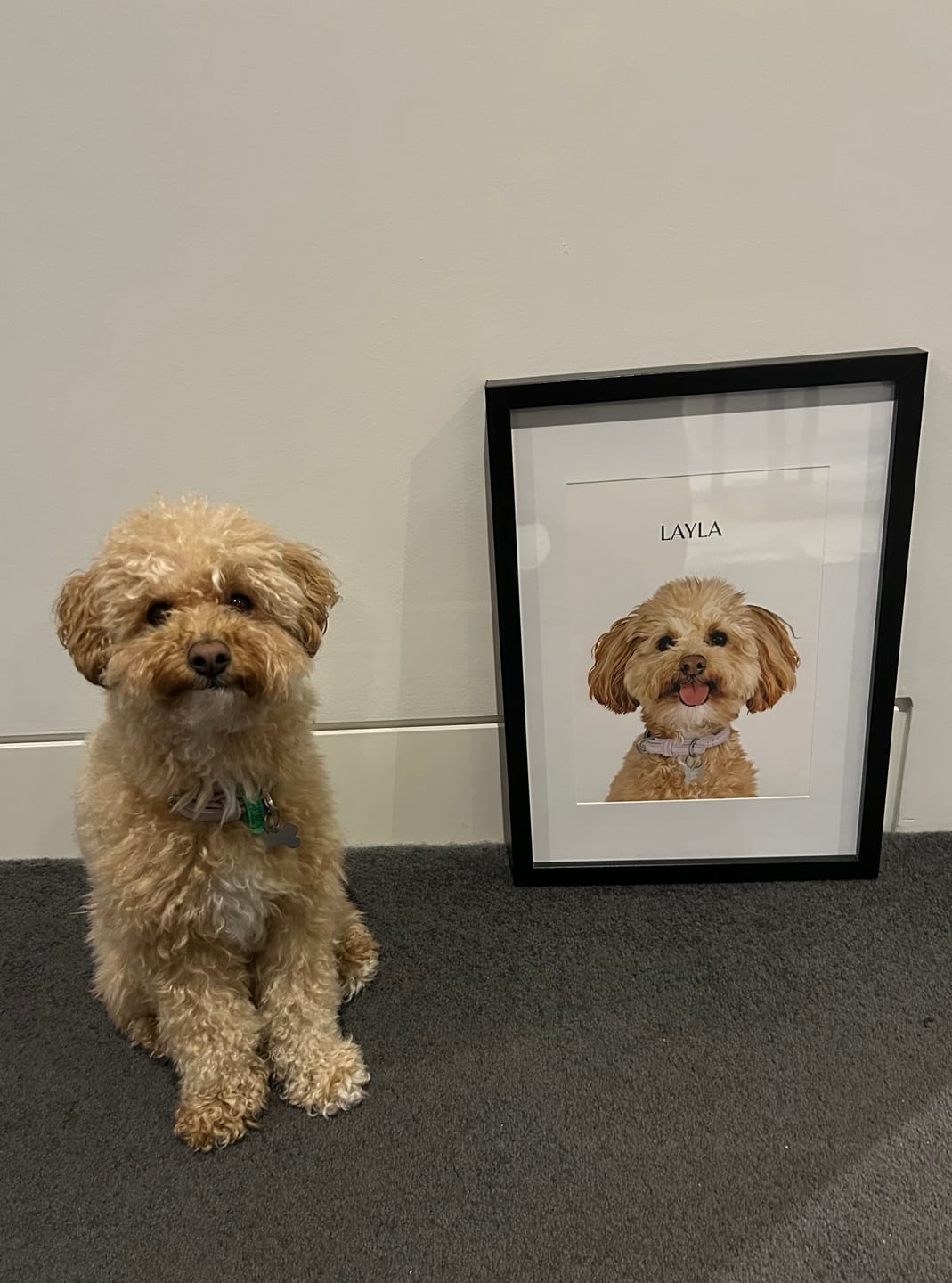 Customer photo review of One-Pet Portrait