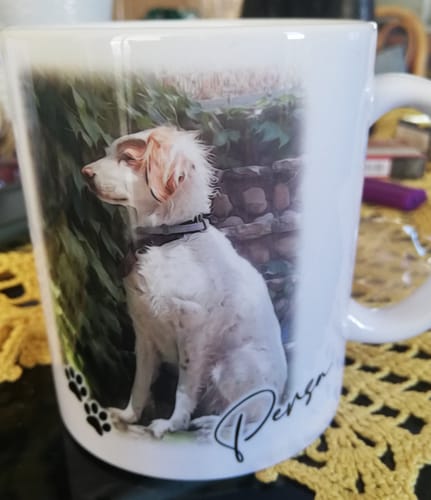 Customer photo review of Μπρελόκ με το Δικό σας Κατοικίδιο