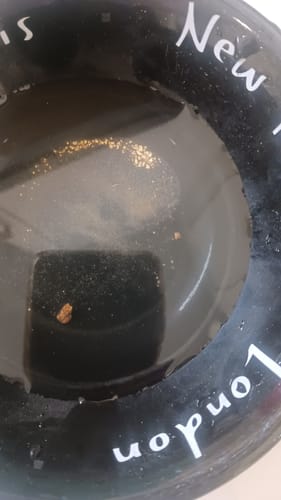 Customer photo review of Motherlode Strike - Gold Panning Paydirt