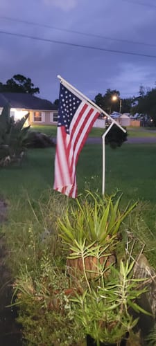 Customer photo review of 3x5ft 2-ply polyester American Flag (Most Popular Size)