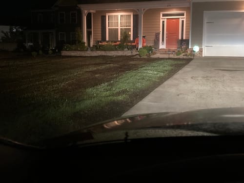 Customer photo review of GCI Turf Type Tall fescue Grass Seed