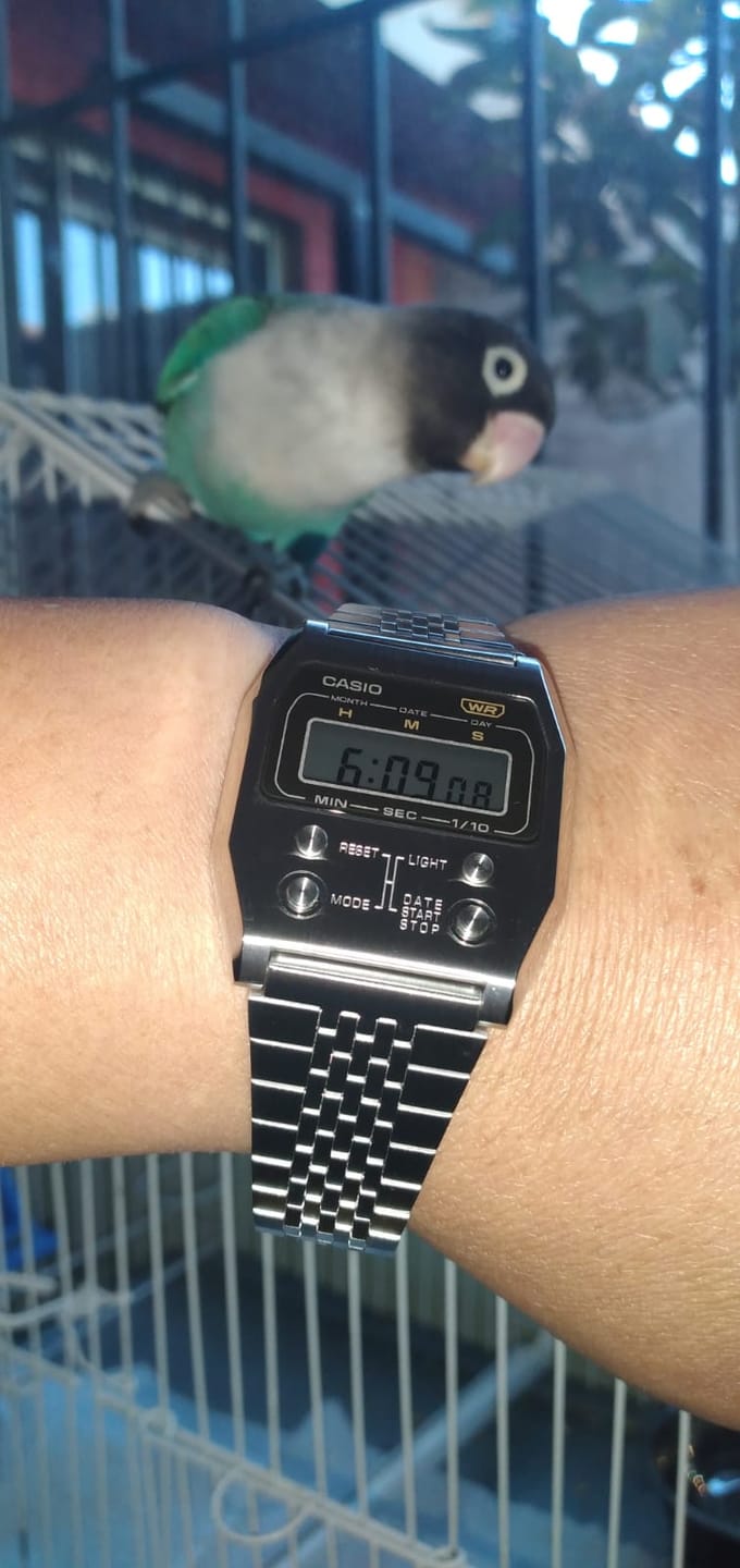Customer photo review of Reloj Casio Vintage A1100D-1DF Caja Metálica Reedición 1978