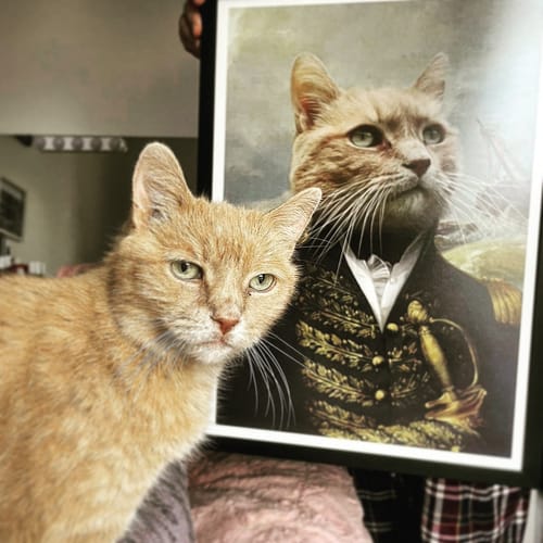 Customer photo review of The Commodore - Custom Pet Portrait