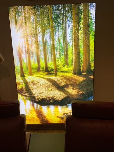 Customer photo review of Canvalight® Leuchtbild | Sonniger Wald | Hochformat
