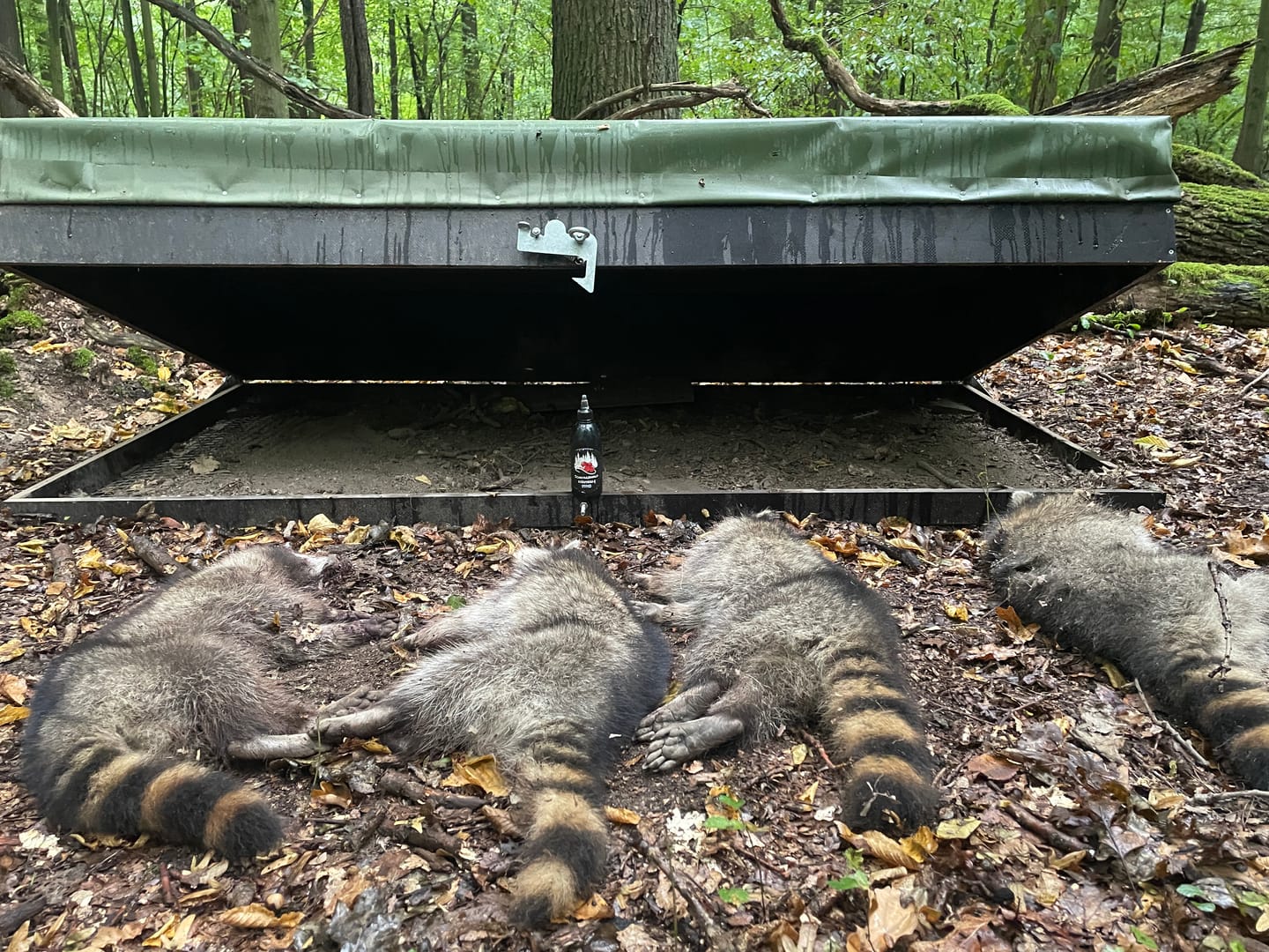 Customer photo review of Fisch Lockmittel - Schwarzwild und Raubwild