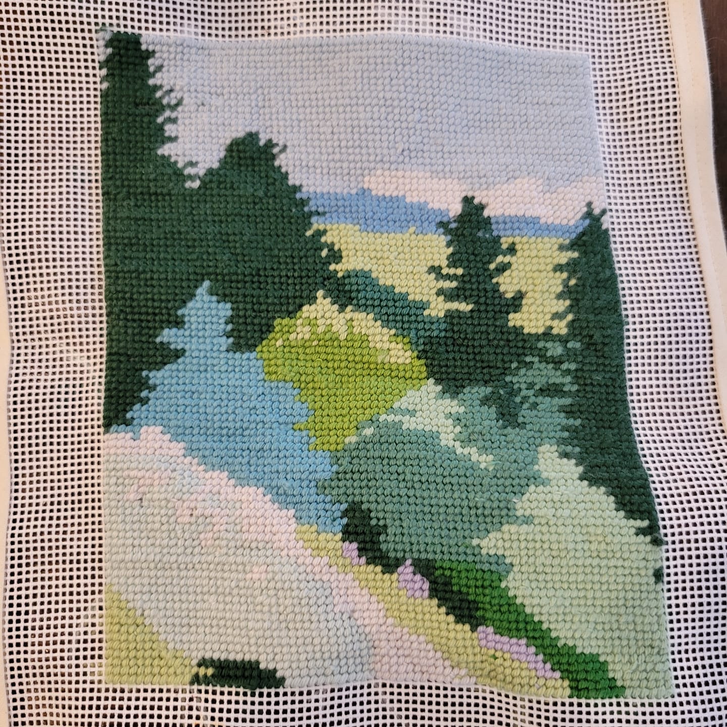 Customer photo review of Mountain Spring Needlepoint Kit