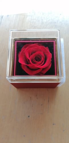 Customer photo review of Eternal Rose Box - W/ Engraved Necklace & Real Rose.
