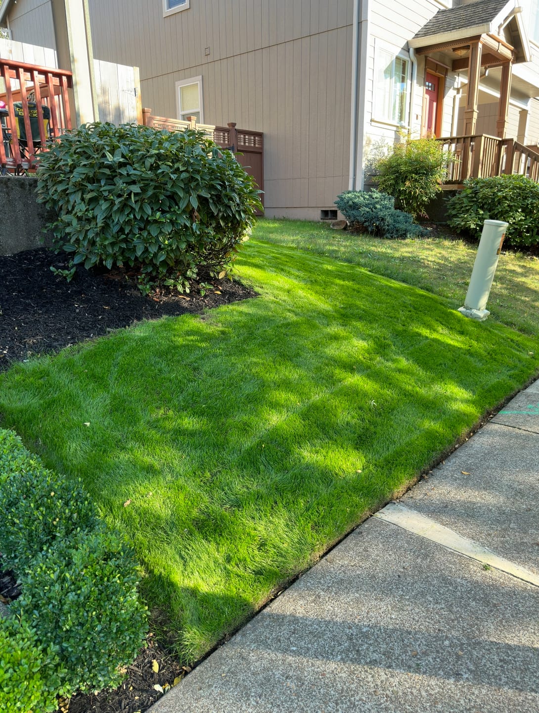 Customer photo review of CarbonizPN® Soil Enhancer