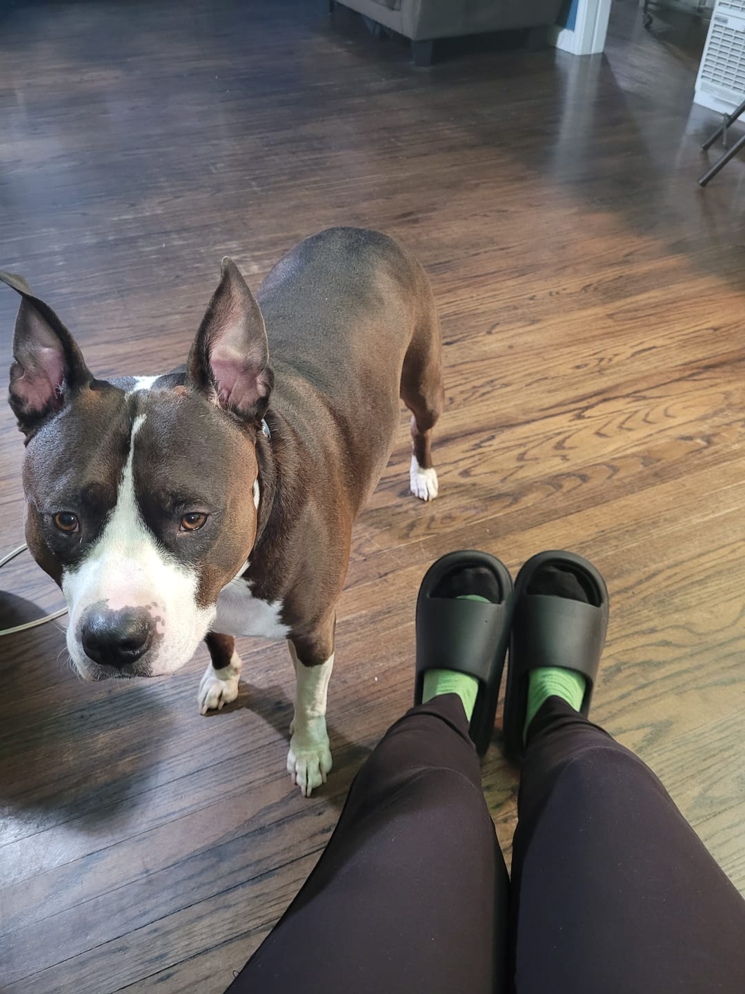 Customer photo review of Cloud Slides - Plush Dream