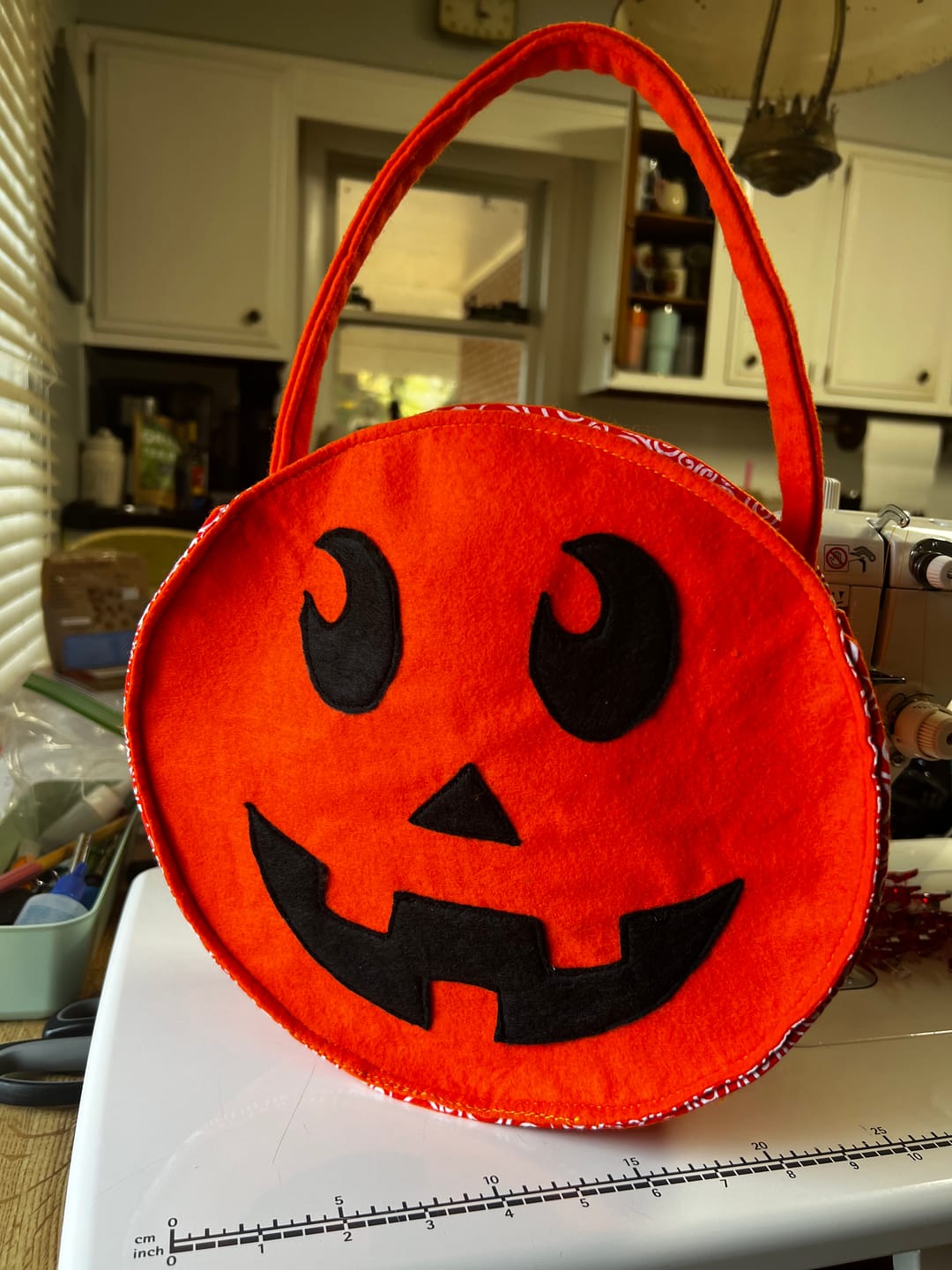 Customer photo review of Acrylic Craft Felt By Yard