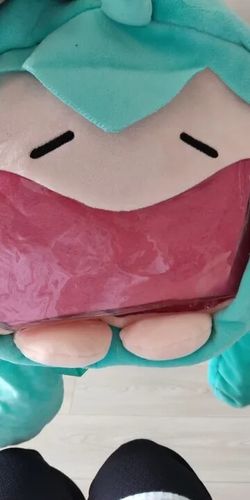 Customer photo review of Kawaii Anime Hatsune Miku Backpack