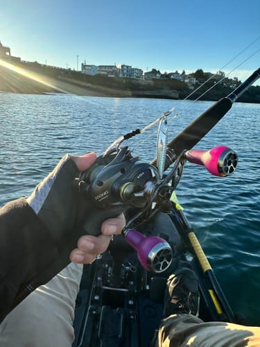 Customer photo review of Fisherman's Life® Jiggy Jigs 20g, 30g, 40g 50g (Four Color Variations)