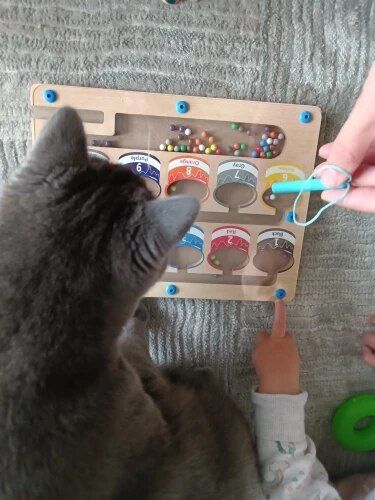 Customer photo review of Kletshuts™ MagneticMaze - Farve- Og Tal-labyrintlegetøj