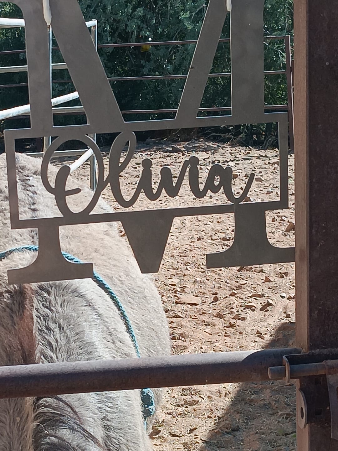 Customer photo review of Script Letter Monogram  - 2 Sizes -  Personalized Metal Family Monogram Last Name Sign