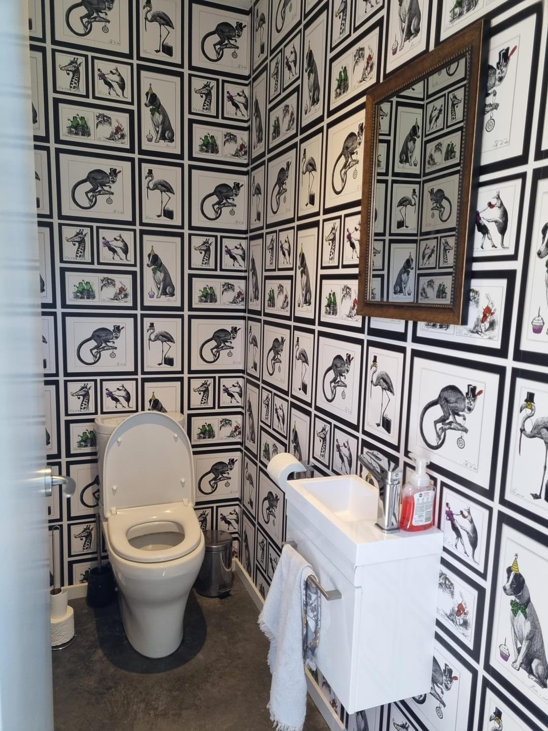 Customer photo review of Mad Dogs Wallpaper