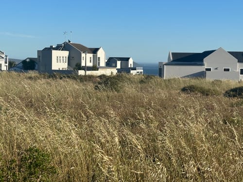 Customer photo review of GIGI - Brazilian 4x4 Lace Wig