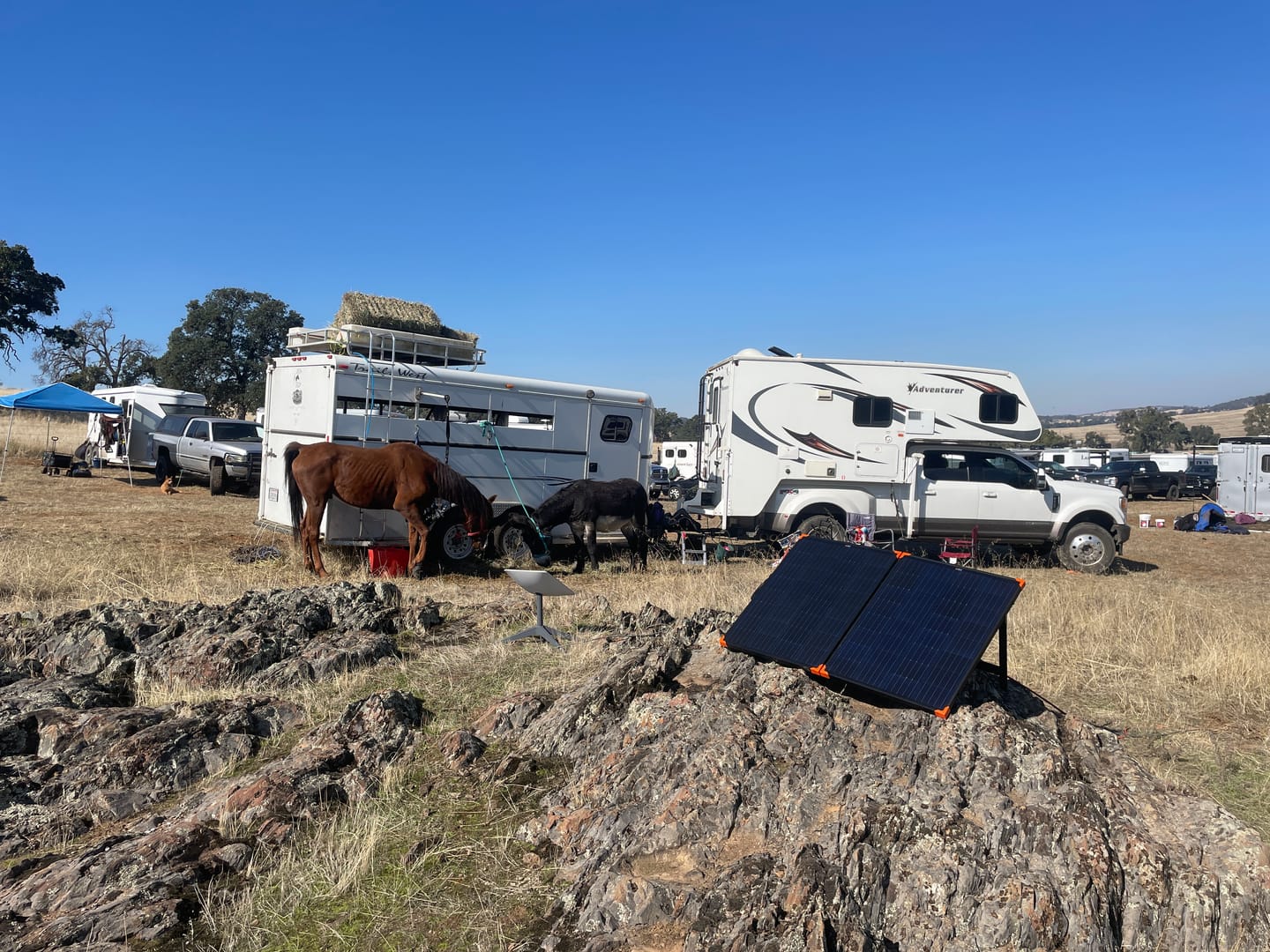 Customer photo review of Solar Connectors