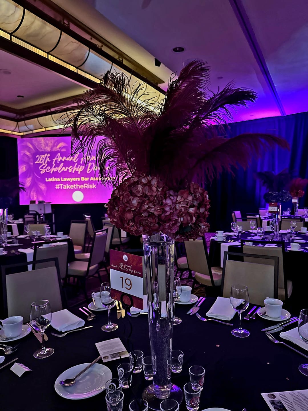 Customer photo review of Ostrich Feather Rental 16-20" (Purple) - 250pcs