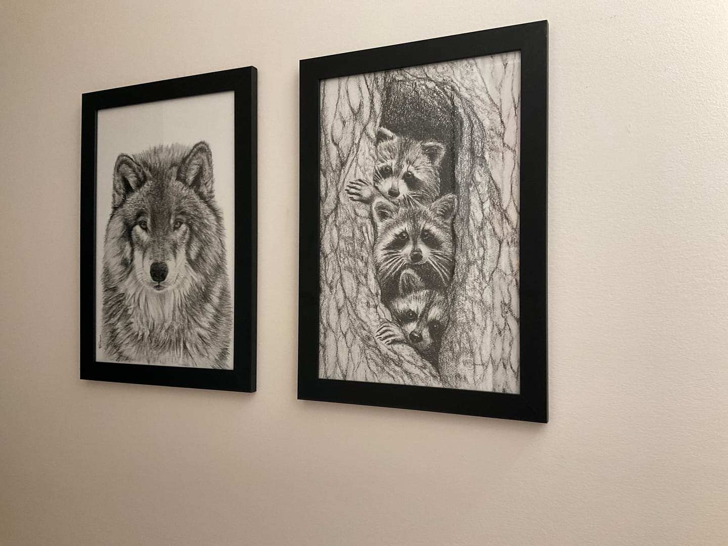 Customer photo review of 3 Raccoon in a tree