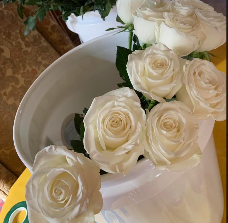 Customer photo review of Playa Blanca Rose