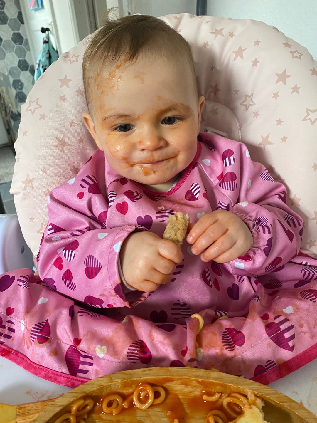 Customer photo review of Cover & Catch Bib