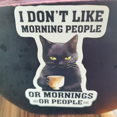 Customer photo review of I Don't Like Morning People or Mornings or People Cat Sticker