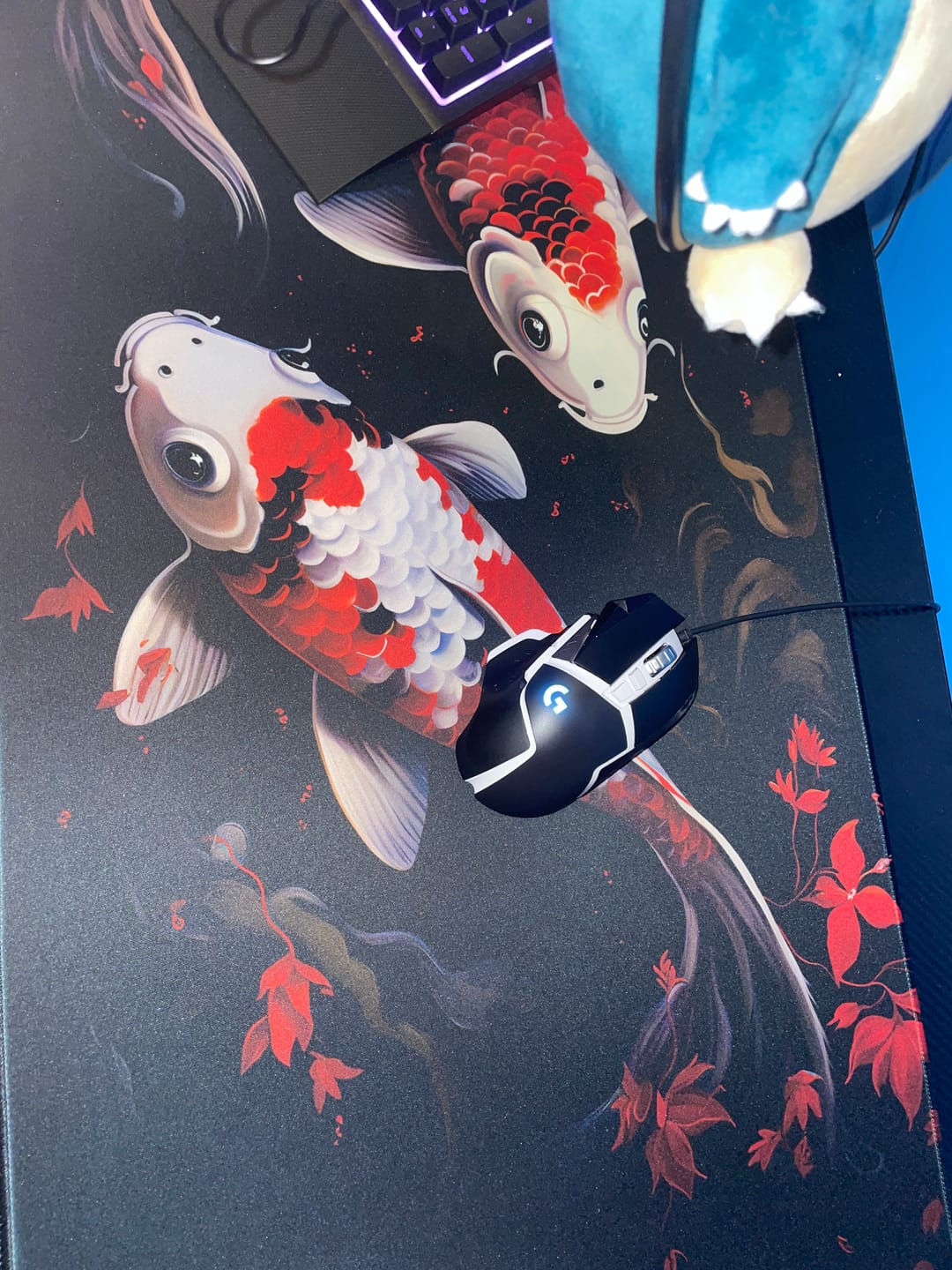Customer photo review of Koi Bliss